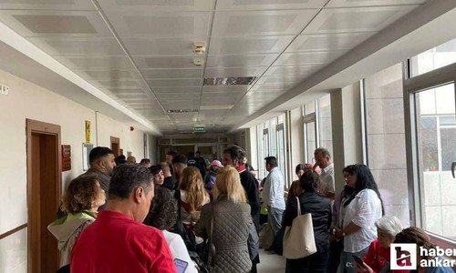 Ankara'da yavru köpeği telef eden sanıktan mahkemede şaşırtan savunma!