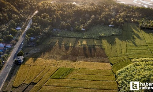 Ankara'da kupon arsa arayanlara fırsat: Milli Emlak 181 bin TL'ye tapu sahibi yapıyor