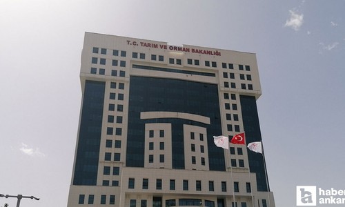 Tarım ve Orman Bakanlığı’ndan domuz eti açıklaması! Neden aylar sonra ortaya çıktı?