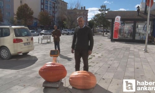 Ankaralı çiftçi bahçesinde 50 kilogramlık bal kabağı yetiştirdi