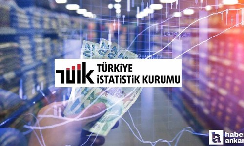 TÜİK Ekim ayı enflasyonu açıklandı! 4 Kasım 2024 TÜFE enflasyon oranı ve aylık enflasyon oranları