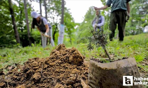 11 Kasım bugün dünya ne günü, 11 Kasım'da ne kutlanıyor?