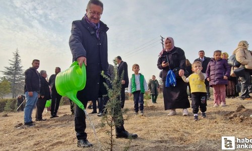 Altındağ Belediyesi 11 Kasım'da yüzlerce fidan dikti