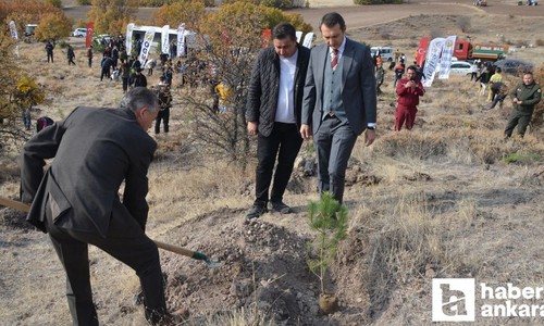 Kahramankazan Belediyesi Milli Ağaçlandırma Günü’nde 500 çam fidanı dikti