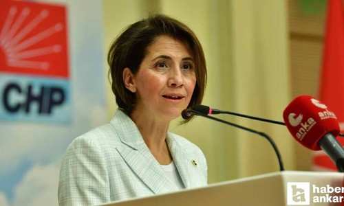 Ankara Milletvekili Aylin Yaman TBMM'de özel gereksinimli çocukların eğitimine dikkat çekti