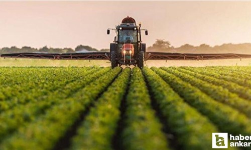 Tarım ve Orman Bakanlığı'ndan tarımsal destekleme ödeme açıklaması