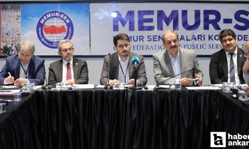 Sağlık-Sen Türkiye'nin dört bir yanından gelen hekimlerle toplantı yaptı