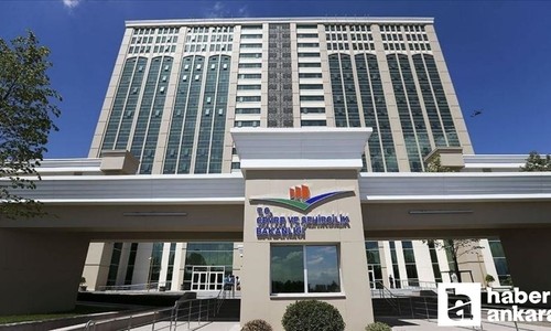 Bakanlıktan “Esnafa Konum Vergisi” iddialarına yanıt geldi