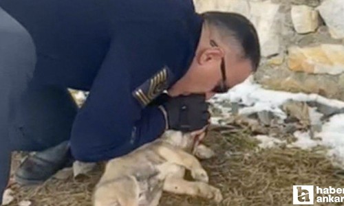 Yozgat’ta jandarma komutanı ölmek üzere olan yavru köpeği kurtardı