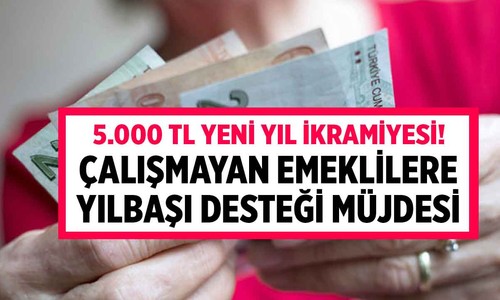 Çalışmayan emeklilere yılbaşı desteği! Zam öncesi sürpriz müjde 5.000 TL yeni yıl ikramiyesi