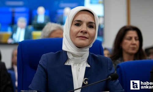 Dijital Dünyada Çocuk Çalıştayı Ankara'da yapıldı