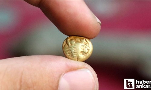 Kaçakçıların yurt dışına çıkardığı 1.055 sikke Türkiye’ye getirilecek