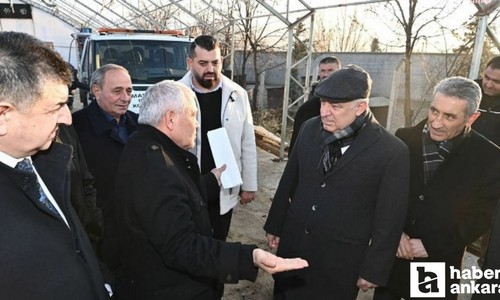 CHP Genel Başkan Yardımcısı Zeybek, Mamak’taki hayvan barınağını inceledi