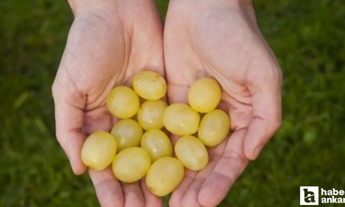 Yılbaşında 12 üzüm yemek ne anlama gelir, ne işe yarar? 12 üzüm ritüeli kuru üzüm olur mu?