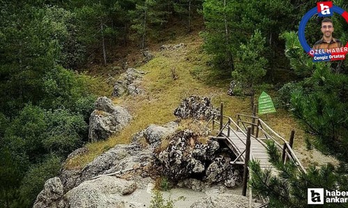 Ankara'nın kalıntı ormanı: Binalardan uzaklaşmak isteyenlerin uğrak noktası