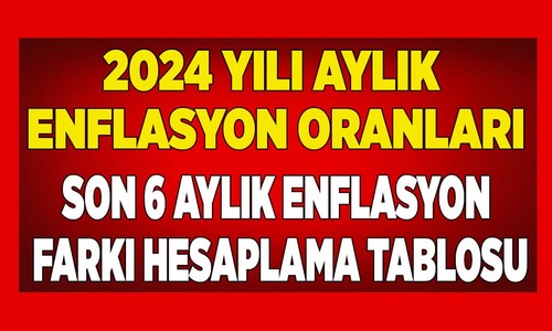 TÜİK 2024 yıllık 12 aylık enflasyon oranları! Son 6 ay TEFE TÜFE enflasyon farkı oranı