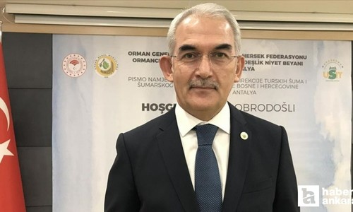 2024'te 96 bin hektarlık alan ağaçlandırıldı