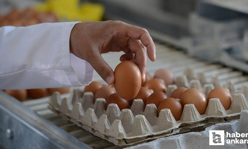 Kahvaltıların vazgeçilmezi yumurta fiyat artışında zirveyi gördü