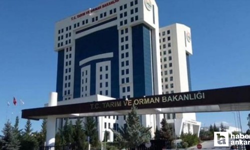 Tarım ve Orman Bakanlığı 2025 yılının ilk taklit-tağşiş gıdalar listesini yayımladı