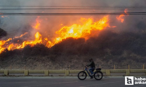 Can kaybı 7'ye yükseldi! ABD'de orman yangınları sürüyor