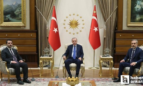 Cumhurbaşkanı Erdoğan, Suriye'nin yeni Dışişleri Bakanı Şeybani ile görüştü