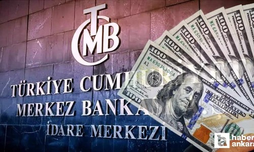 Merkez Bankası tarih verdi: Dolar kuru o tarihte 44 TL'ye dayanacak