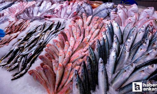 Bayatı öldürür! Taze balığı anlamanın püf noktaları!