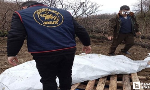 Çorum’da bir şahıs traktörünün çalındığını iddia etmişti: Gerçek şoke etti