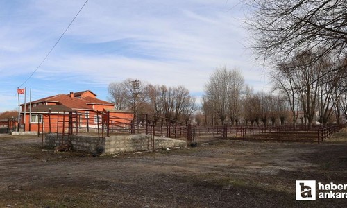 Çankırı Orta'da hayvan pazarı süresiz kapatıldı