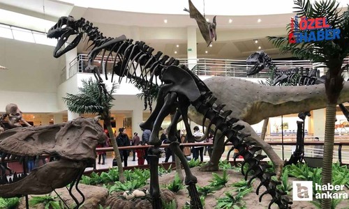 Girişler ücretsiz! Ankara'da 7'den 70'e herkesin görmesi gereken dinozorlu müze