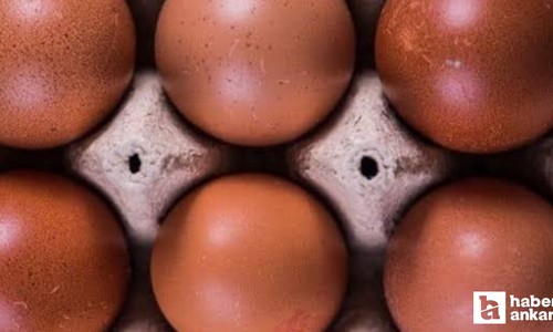Maliyeti daha yüksek! Kahverengi yumurta artık satılmayacak