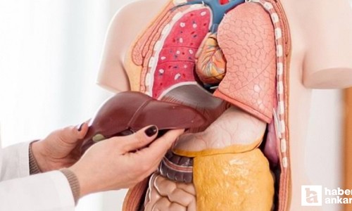 Karaciğer yağlanması kendini ciltte gösteriyor: Bu belirtilere dikkat