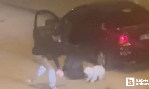Polatlı'da genç kızı darp etmiş, köpeği tekmelemişti! Şahıs tutuklandı