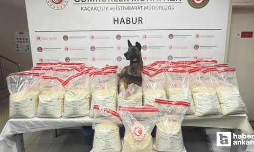 Habur Gümrük Kapısı'nda operasyon: 370 kilo yasaklı madde ele geçirildi