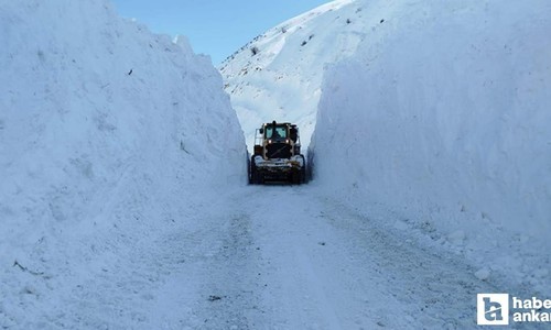 Hakkari'de çığ tehlikesi