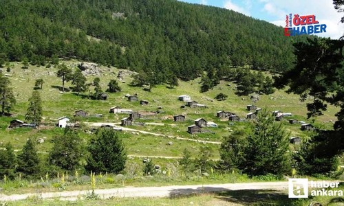 Karadeniz yaylası değil Ankara! Ankara'da yayla havası almak isteyen buraya çıkıyor