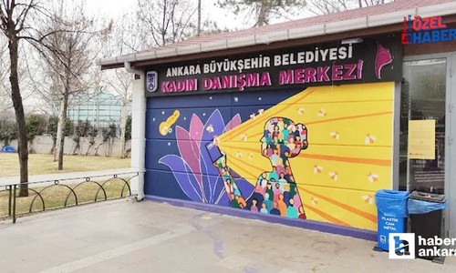 ABB Kadın Danışma Merkezi'nden Anne-Kız Çocuğu Seminer serisi