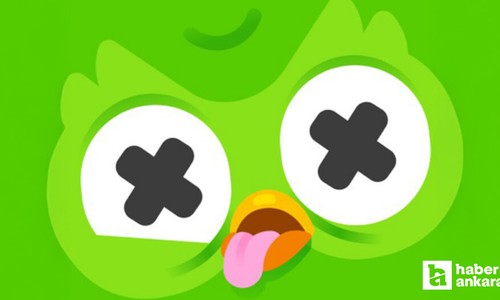 Duolingo duyurdu: Baykuş Duo öldü