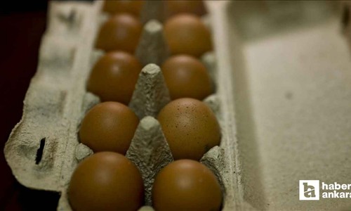 ABD'de kuş gribi krizi: Türk yumurtası tercih ediliyor