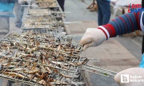 Ankaralıları hamsiye doyuracak festival geliyor! 1 ton hamsi bedava dağıtılacak