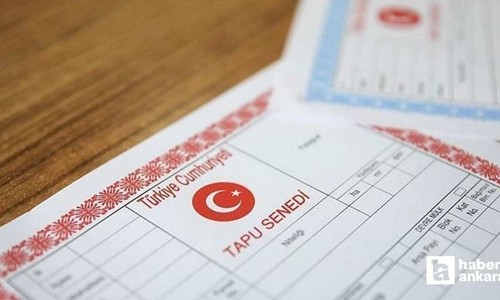 Mirastan pay verilmeyen kız çocuk hakkını nasıl alır?