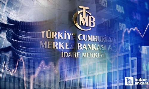 Merkez Bankası'ndan enflasyon ve fiyat istikrarı analizi