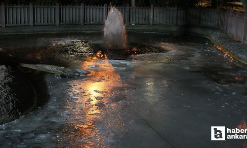 Ankara soğuk havaya teslim oldu: Kuğulu Park dondu