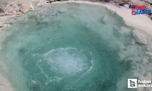 Dünya'nın en şifalı suyu Ankara'da! Her derde deva şifa fışkırıyor