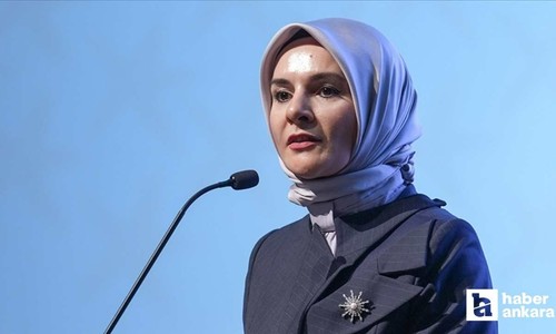 Bakan Göktaş duyurdu: 2025 yılındı ailelere THY ile indirimli uçuş