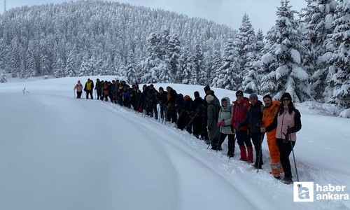 Kırıkkale'den gelen dağcılar Ilgaz Dağı'na tırmandı