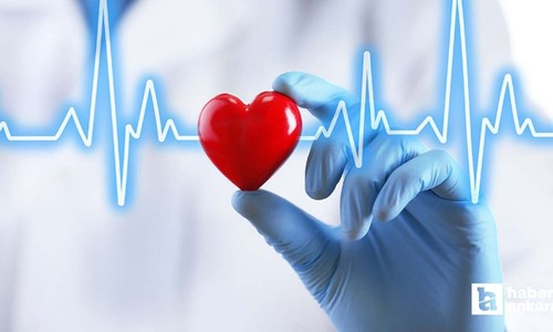 Gazi Üniversitesi Tıp Fakültesi doktorları ve öğrencileri organ bağışı yaptılar