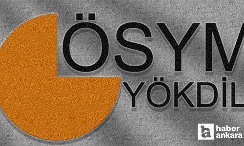 2025 YÖKDİL/1 sınav sonuçları açıklandı!