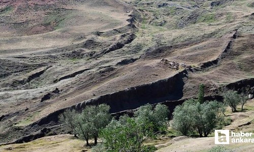 8. Uluslararası Nuh Tufanı'nın Ağrı Dağı'ndaki Arkeolojik İzleri konferansı Ankara'da düzenlendi