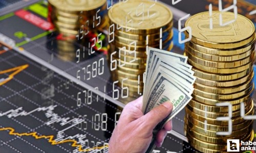 TÜİK şubat ayında en çok kazandıran ve kaybettiren yatırım araçlarını açıkladı